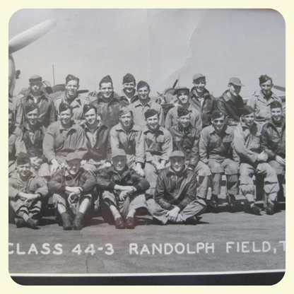 T-Shirt Randolph Field
